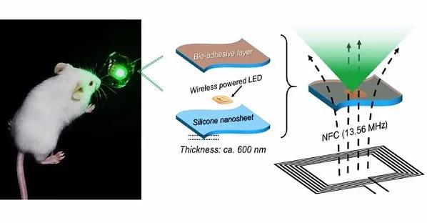 LED交通誘導(dǎo)屏